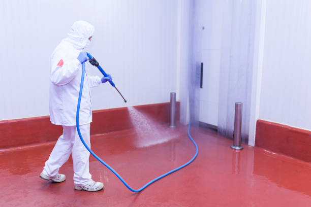 Best Soft Washing for Delicate Surfaces in Portland, IN